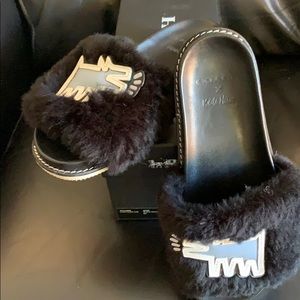 Coach Keith Haring slides